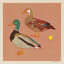 Load image into Gallery viewer, Caroline Clark - Duck Art Print 12x12